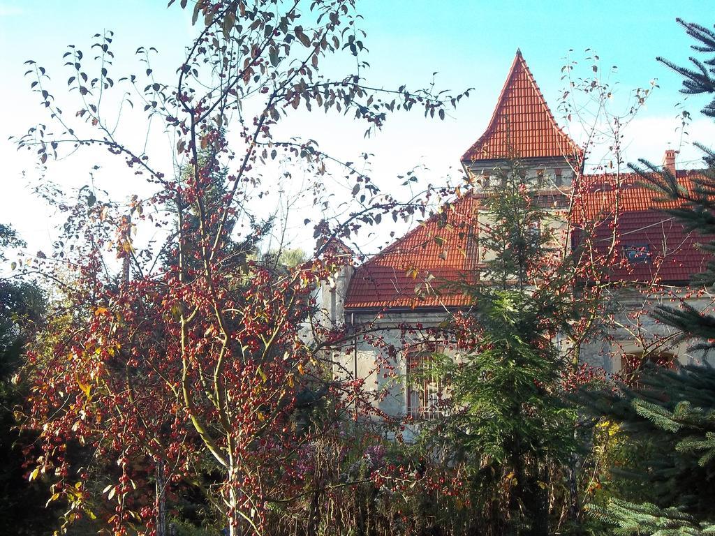 Dwor W Boleniu Villa Exteriör bild