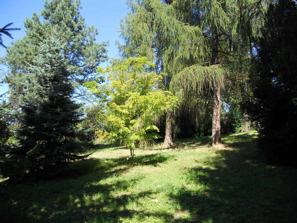 Dwor W Boleniu Villa Rum bild